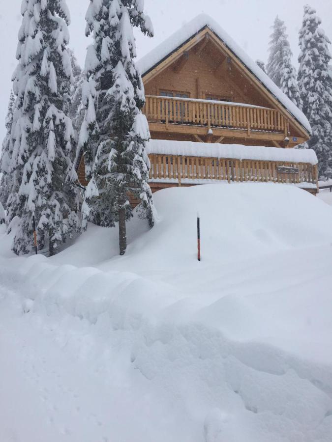 Schwabenhuette Villa Sirnitz-Sonnseite ภายนอก รูปภาพ