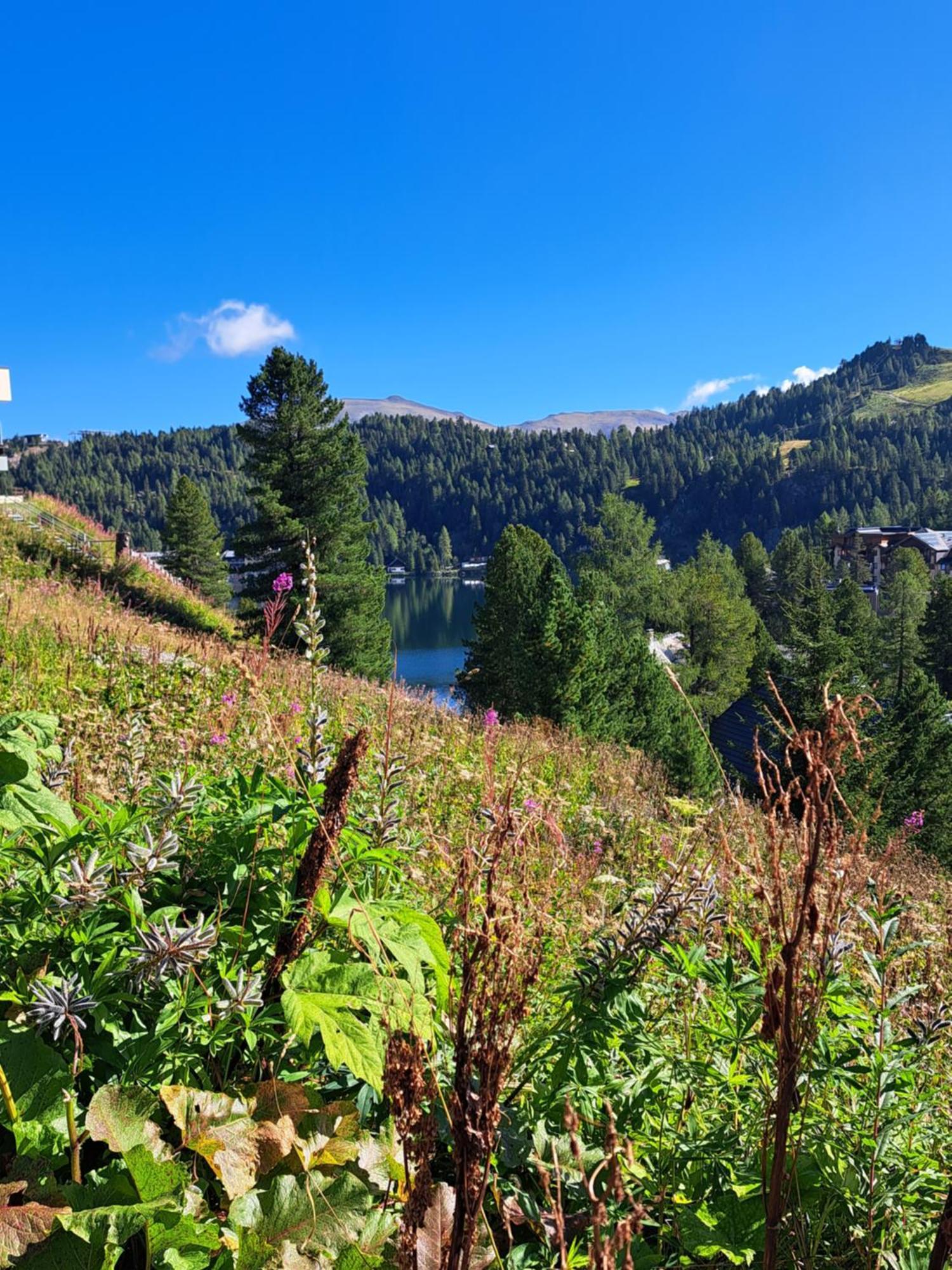 Schwabenhuette Villa Sirnitz-Sonnseite ภายนอก รูปภาพ